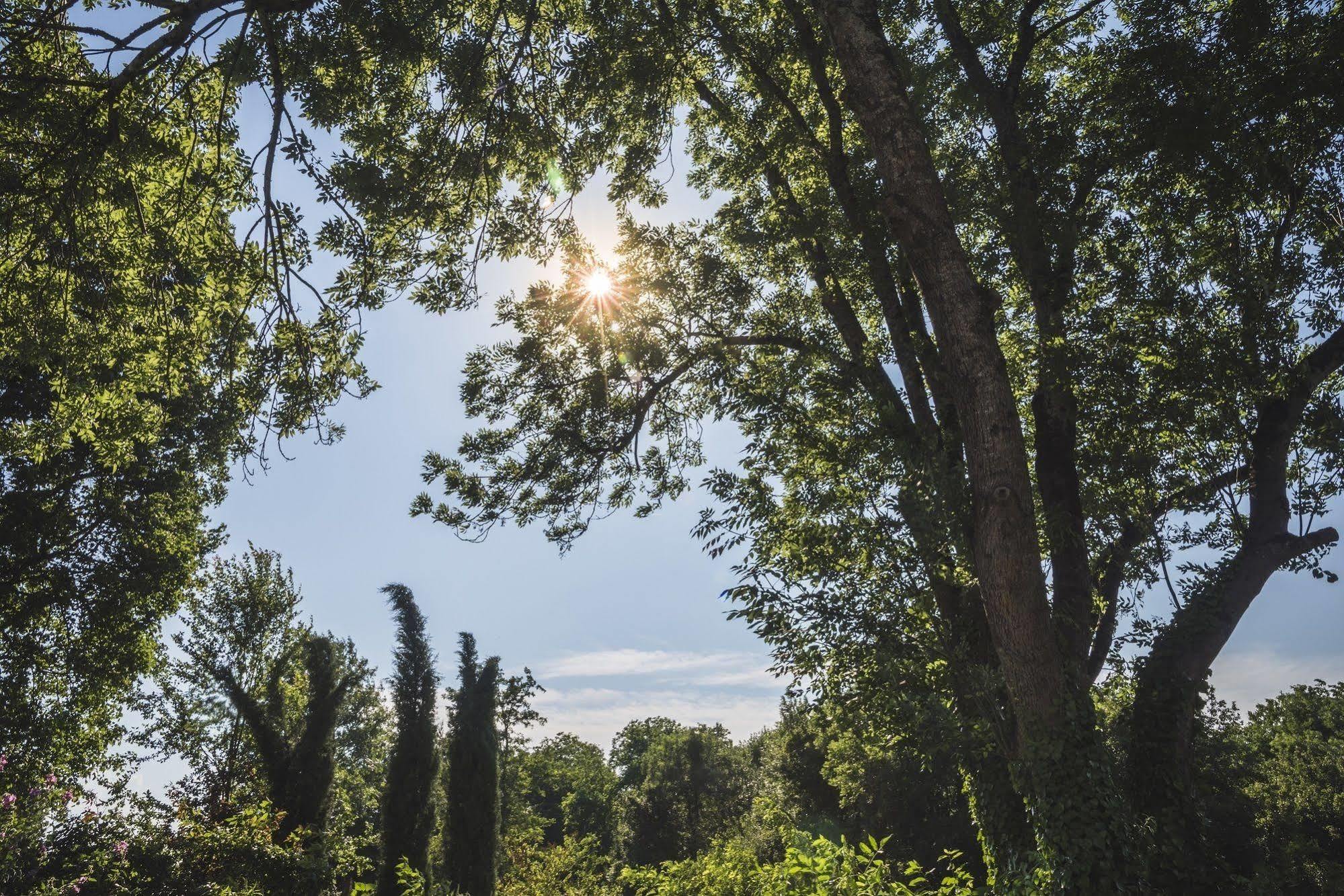 Domaine De Terrac Bed & Breakfast Rimont ภายนอก รูปภาพ